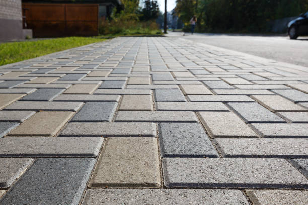 Best Driveway Paving Contractor  in Mount Jackson, VA