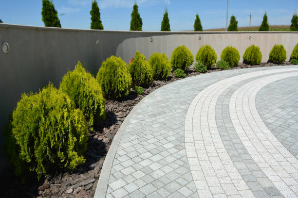 Best Best Driveway Pavers  in Mount Jackson, VA